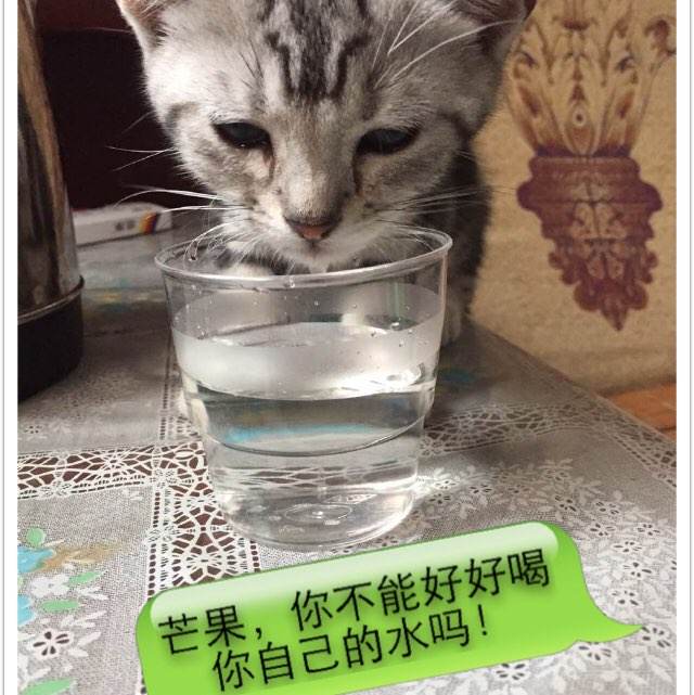 京都先端科学大学学士证书